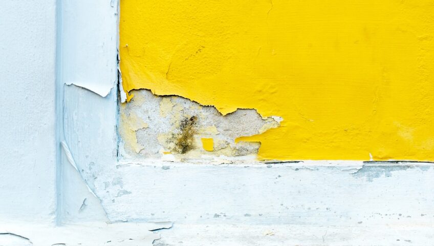 Exterior home inspection and spring maintenance checklist before repainting by Inside Out Painting, LLC in New Jersey